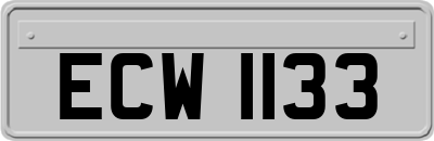 ECW1133