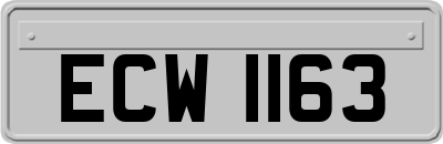 ECW1163
