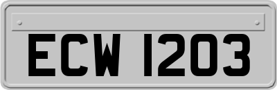 ECW1203