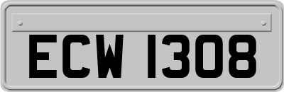 ECW1308