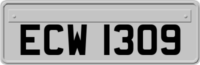 ECW1309