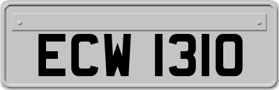 ECW1310