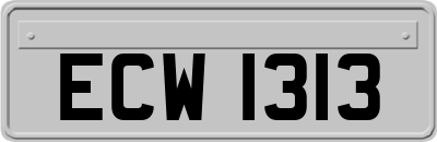 ECW1313
