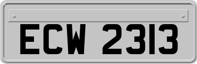 ECW2313