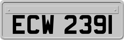 ECW2391