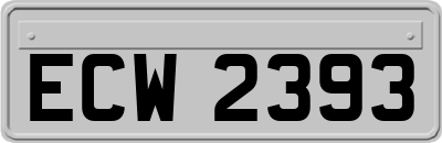 ECW2393