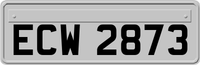 ECW2873