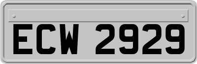 ECW2929