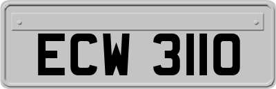 ECW3110