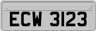 ECW3123