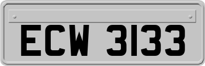 ECW3133