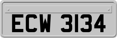 ECW3134
