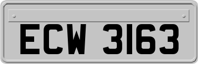 ECW3163