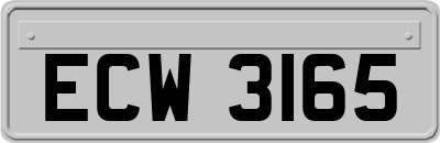 ECW3165