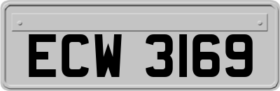 ECW3169