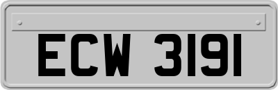 ECW3191