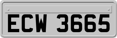 ECW3665