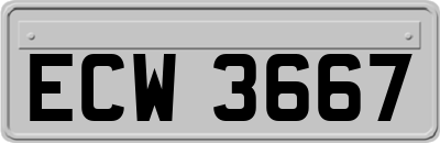 ECW3667