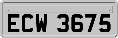 ECW3675