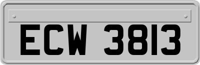 ECW3813