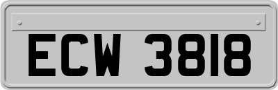 ECW3818