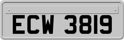 ECW3819