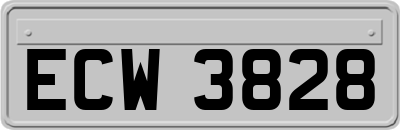 ECW3828