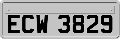 ECW3829