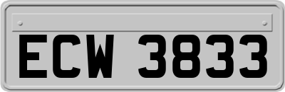 ECW3833