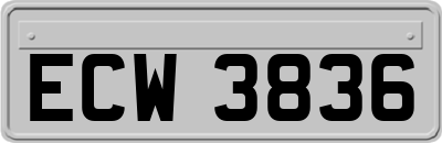 ECW3836