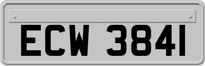 ECW3841