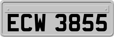 ECW3855