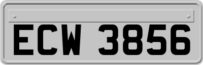 ECW3856