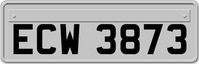 ECW3873