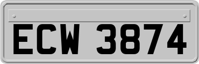 ECW3874