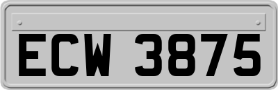 ECW3875