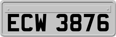 ECW3876