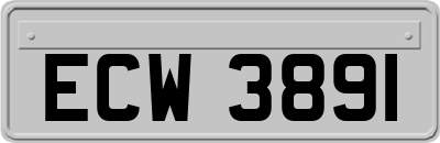 ECW3891