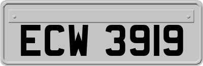ECW3919