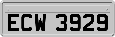 ECW3929