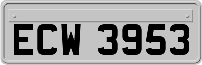 ECW3953