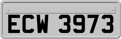 ECW3973