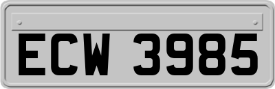 ECW3985