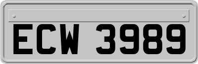 ECW3989