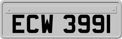 ECW3991
