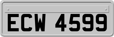 ECW4599