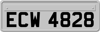 ECW4828