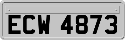 ECW4873