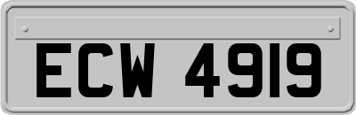 ECW4919