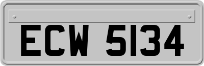 ECW5134
